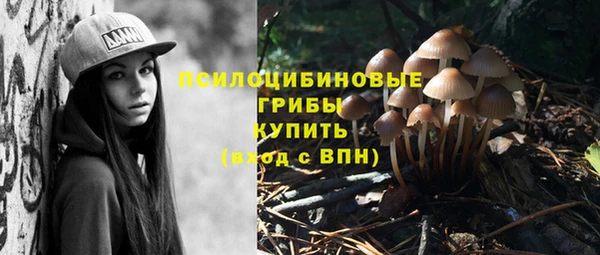 круглые Коряжма